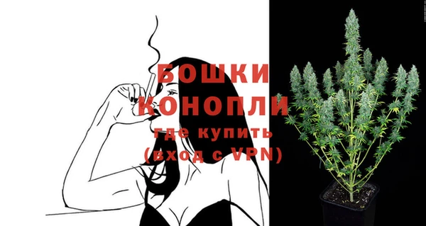 прущие грибы Абдулино