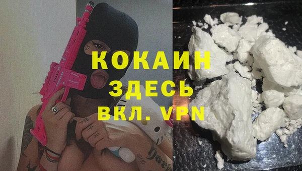 прущие грибы Абдулино