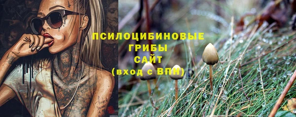 прущие грибы Абдулино