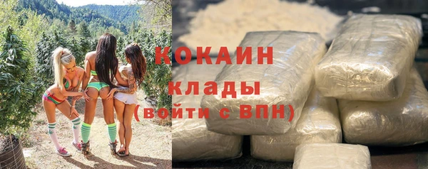 прущие грибы Абдулино