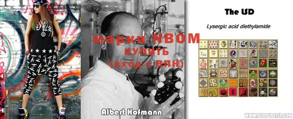прущие грибы Абдулино