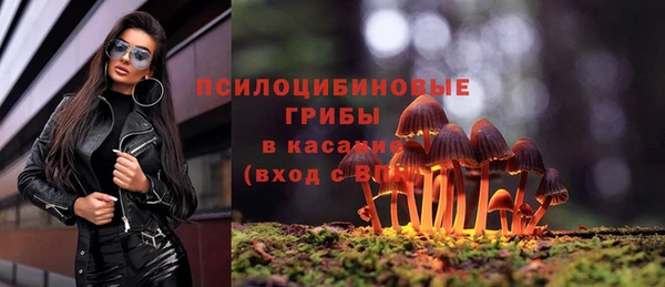 герыч Абинск