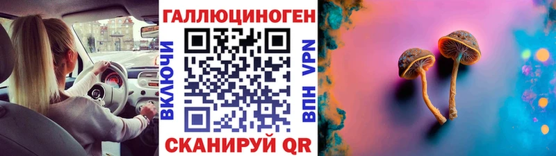 omg зеркало  Братск  Псилоцибиновые грибы GOLDEN TEACHER 